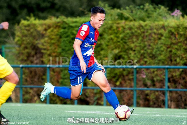 香蕉为什么不能放冰箱
