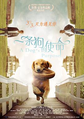 久草电影在线播放