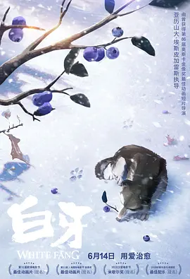 精品国产91久久久久