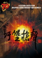 午夜精品理论片