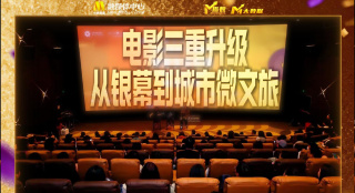 小猫视频大全搞笑可爱