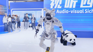 活泼的旅社黑凤梨
